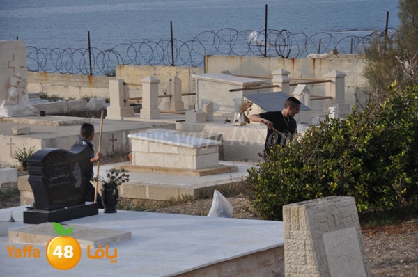 tandef maqbara ortuhdx (25).JPG